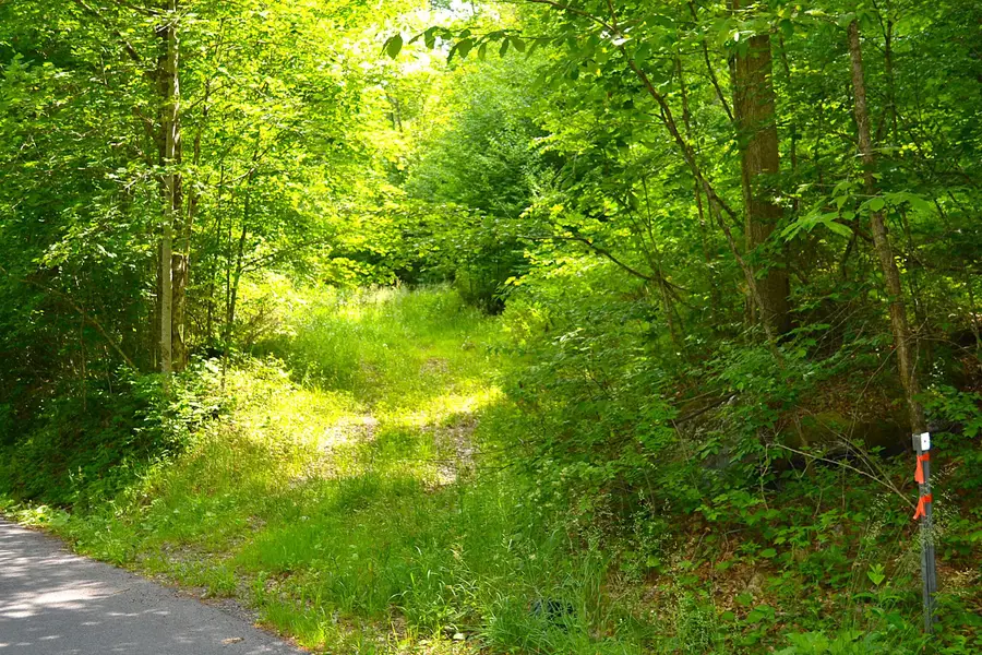 Cold Hollow Rd, Rainelle, WV 25962 - #2