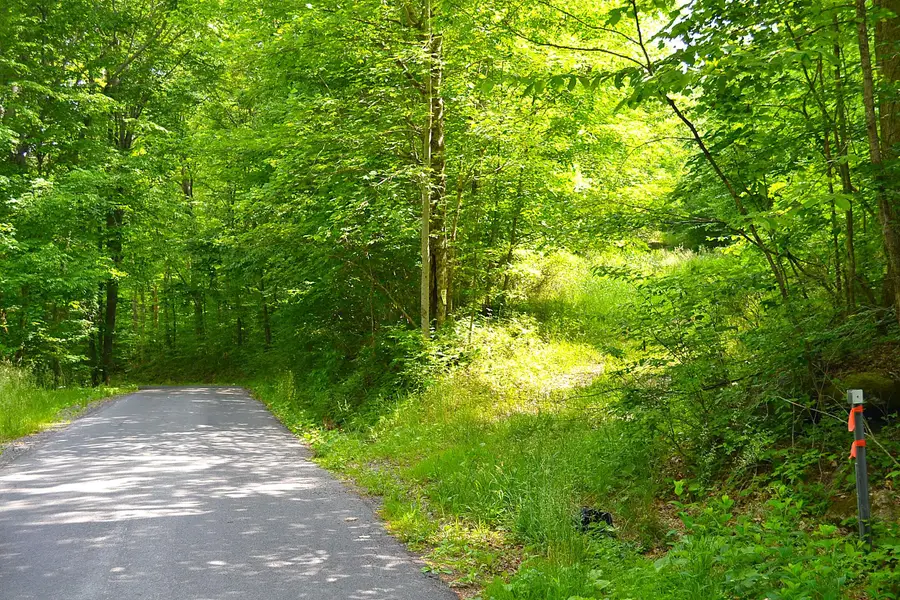 Cold Hollow Rd, Rainelle, WV 25962 - #3