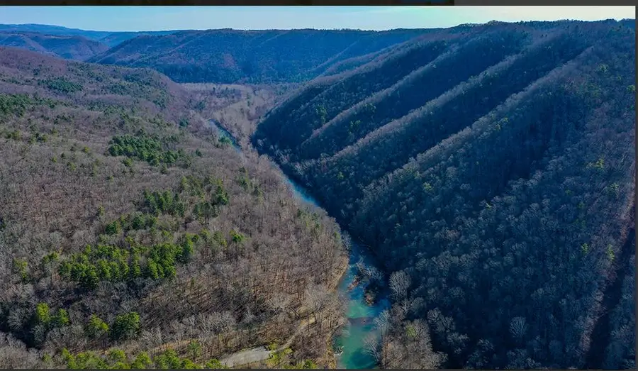 927 Bluestone River Rd, Jumping Branch, WV 25969 - #3