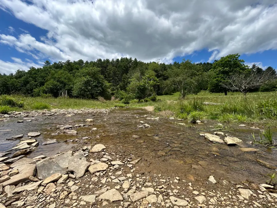 11085 Frost Rd., Marlinton, WV 24954 - #2