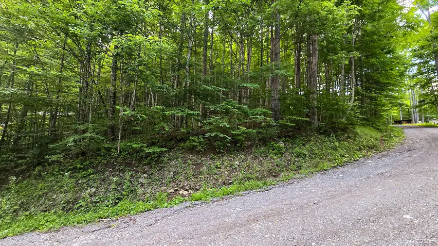 Lot 13 Lower Cherry Grove, Slatyfork, WV 26291 - #2