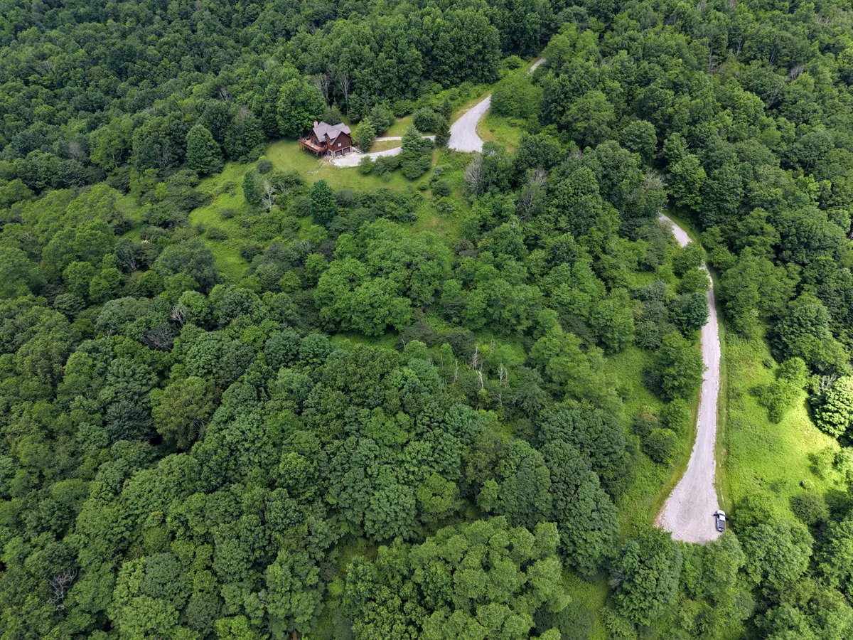 130 Northern Trail, Slatyfork, WV 26291 - #1