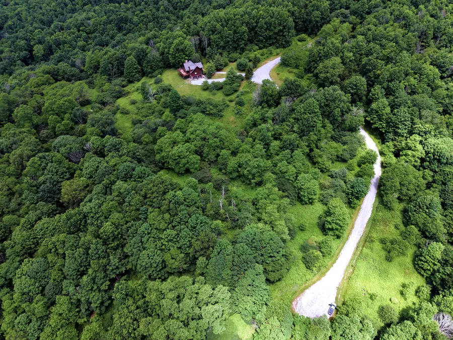 130 Northern Trail, Slatyfork, WV 26291 - #3
