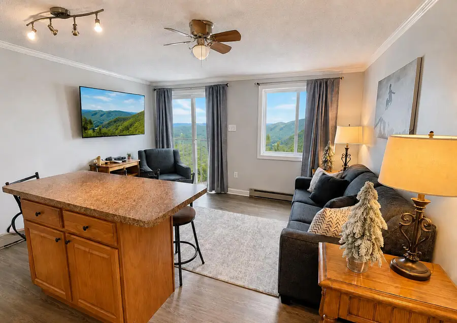 364 Mountain Lodge Lane, Snowshoe, WV 26209 - #2