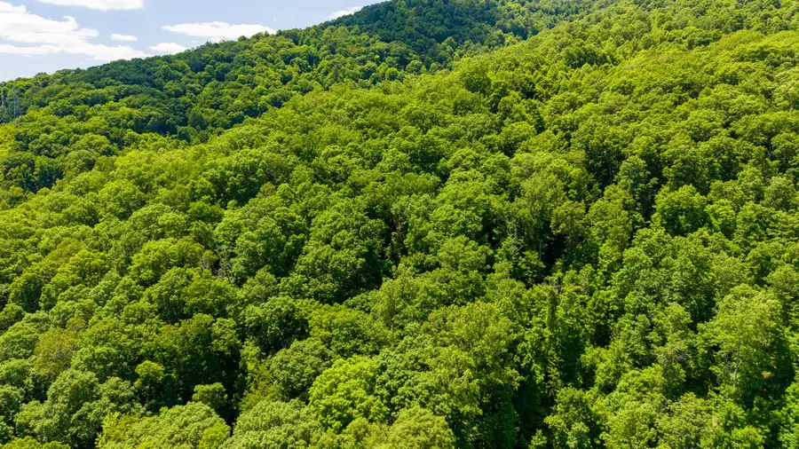 Big Creek Rd, Hinton, WV 25951 - #2