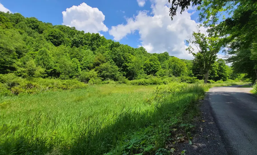 333 Fleshman Hollow Rd, Rainelle, WV 25962 - #3