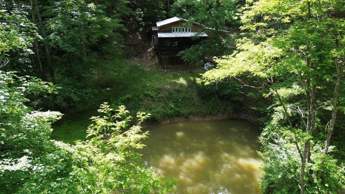 281 Eclipse Ln, Arbovale, WV 24915 - #1