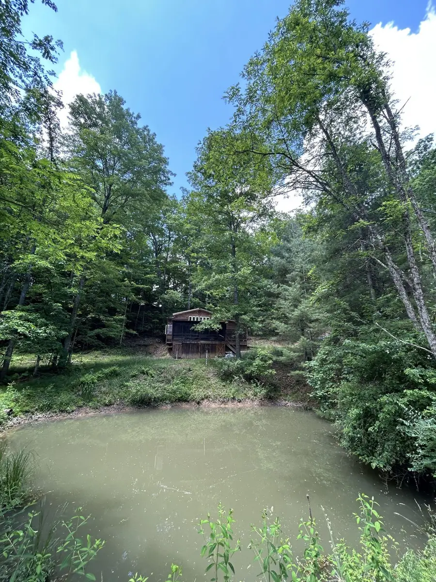 281 Eclipse Ln, Arbovale, WV 24915 - #2
