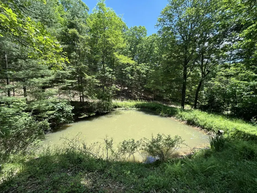 281 Eclipse Ln, Arbovale, WV 24915 - #3