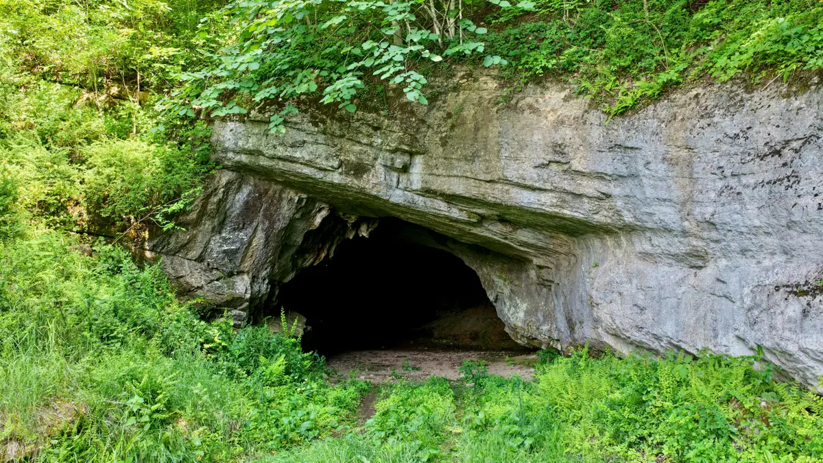 State Highway 3, Gap Mills, WV 24941 - #1