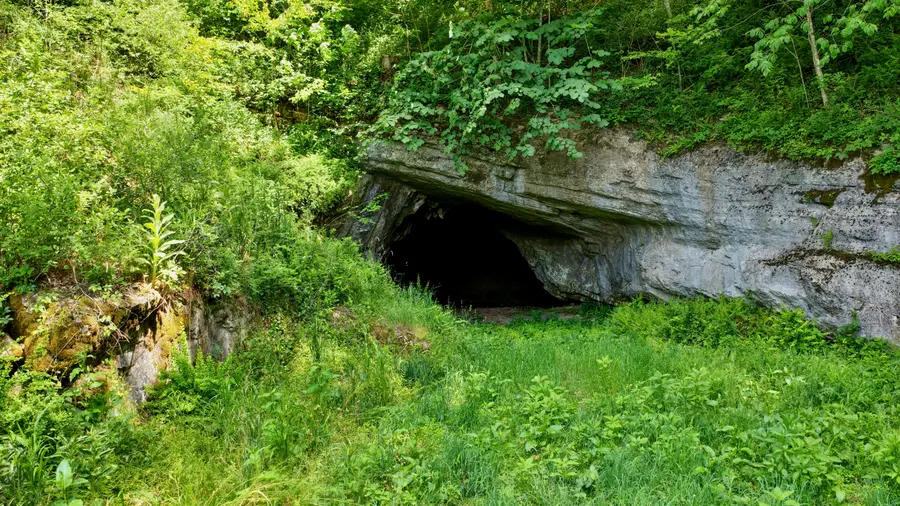 State Highway 3, Gap Mills, WV 24941 - #2
