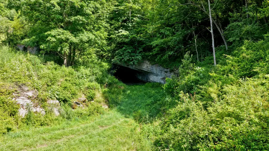 State Highway 3, Gap Mills, WV 24941 - #3