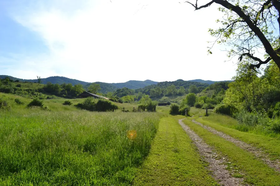 275 Old Us 219 Rd, Buckeye, WV 24924 - #2