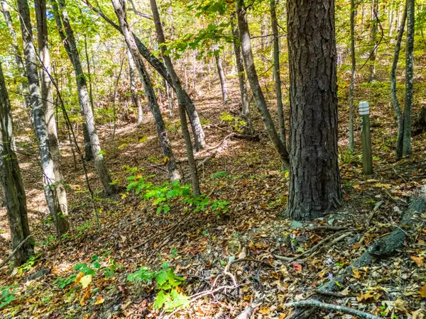 Retreat Lot 57 White Rock Trl, Caldwell, WV 24925