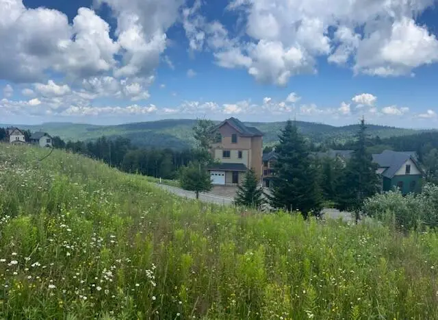 52 Highlands Drive, Snowshoe, WV 26209 - #1