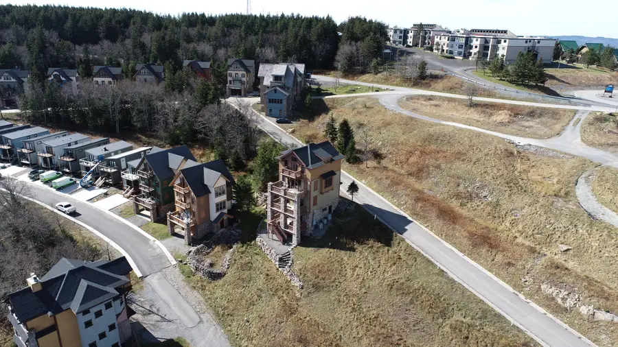 52 Highlands Drive, Snowshoe, WV 26209 - #3