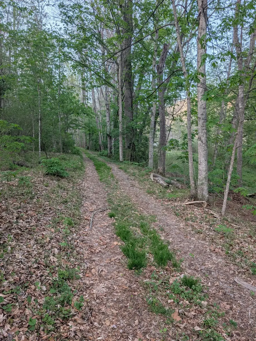 Tbd Keister Rd, Lewisburg, WV 24901 - #2