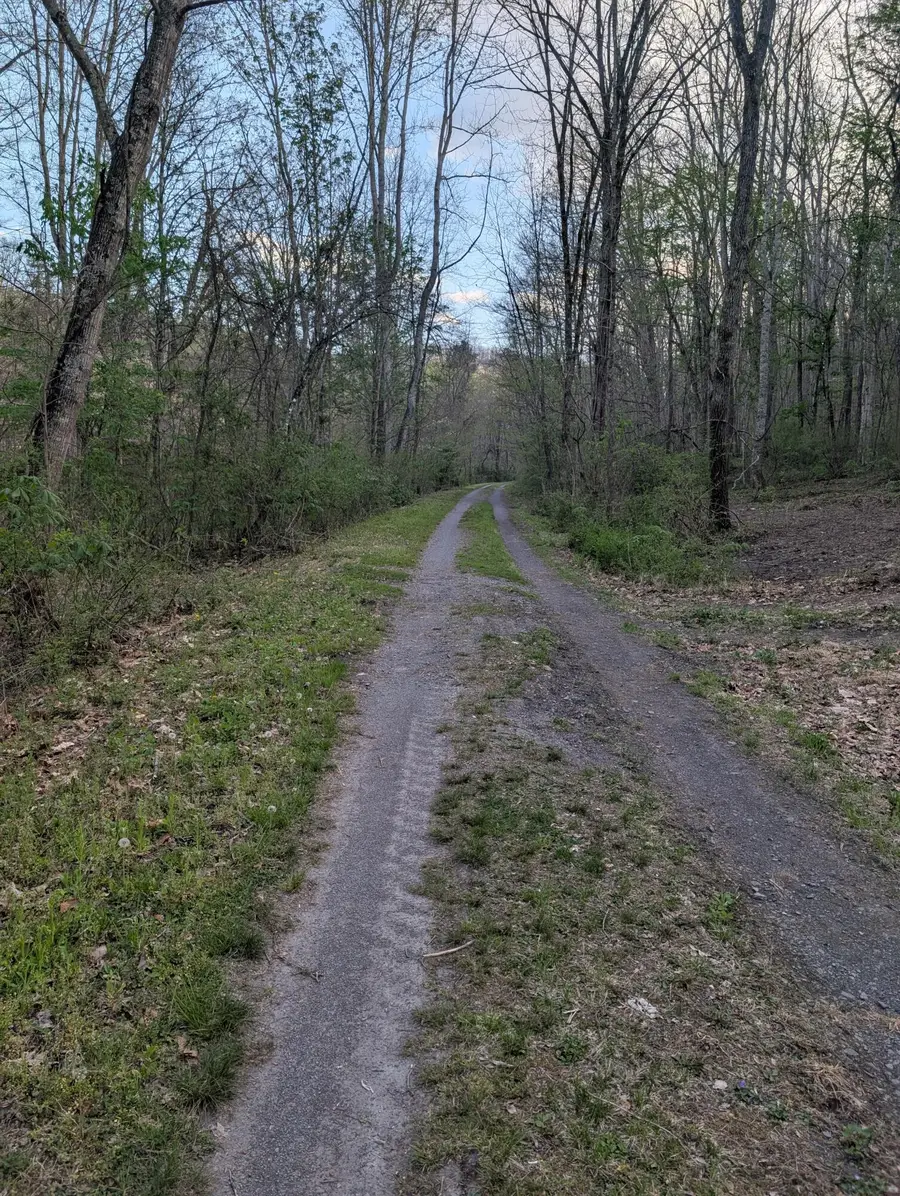 Tbd Keister Rd, Lewisburg, WV 24901 - #3