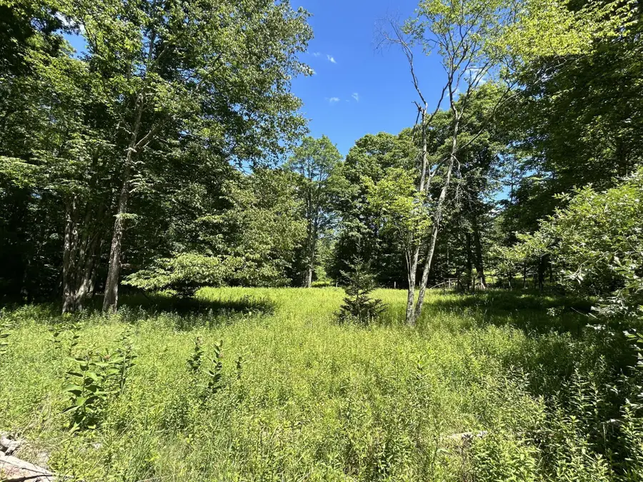 1835 E Woodrow Branch Rd, Marlinton, WV 24954 - #2