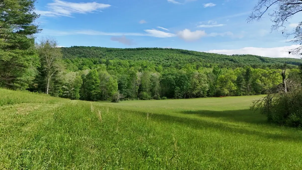 144+/- Ac Moncove Lake Road, Gap Mills, WV 24941 - #1