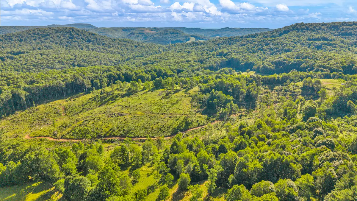 Address Withheld By Seller, Meadow Bridge, WV 25976 - #1