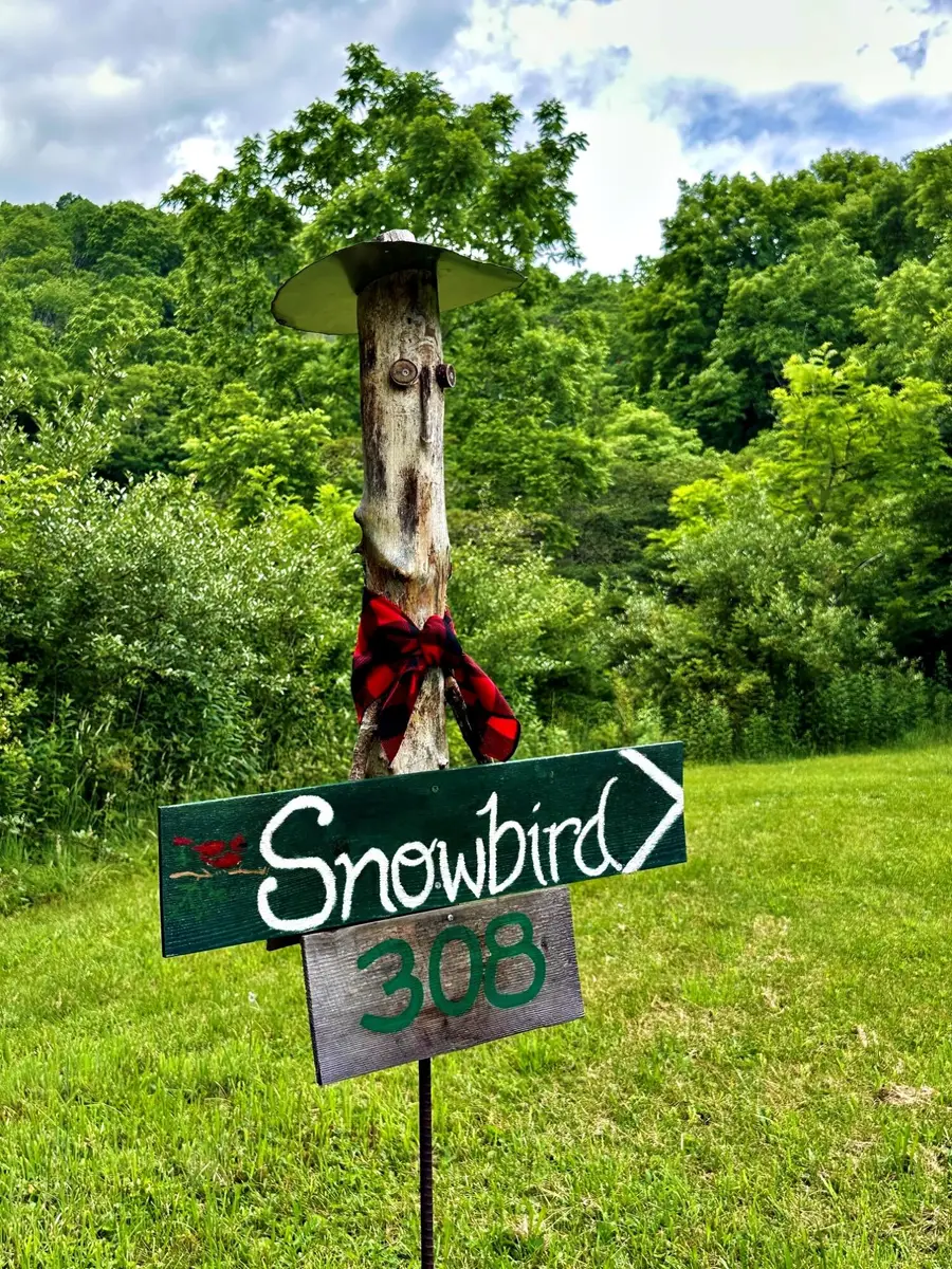 308 Erehwon Dr, Slatyfork, WV 26291 - #3