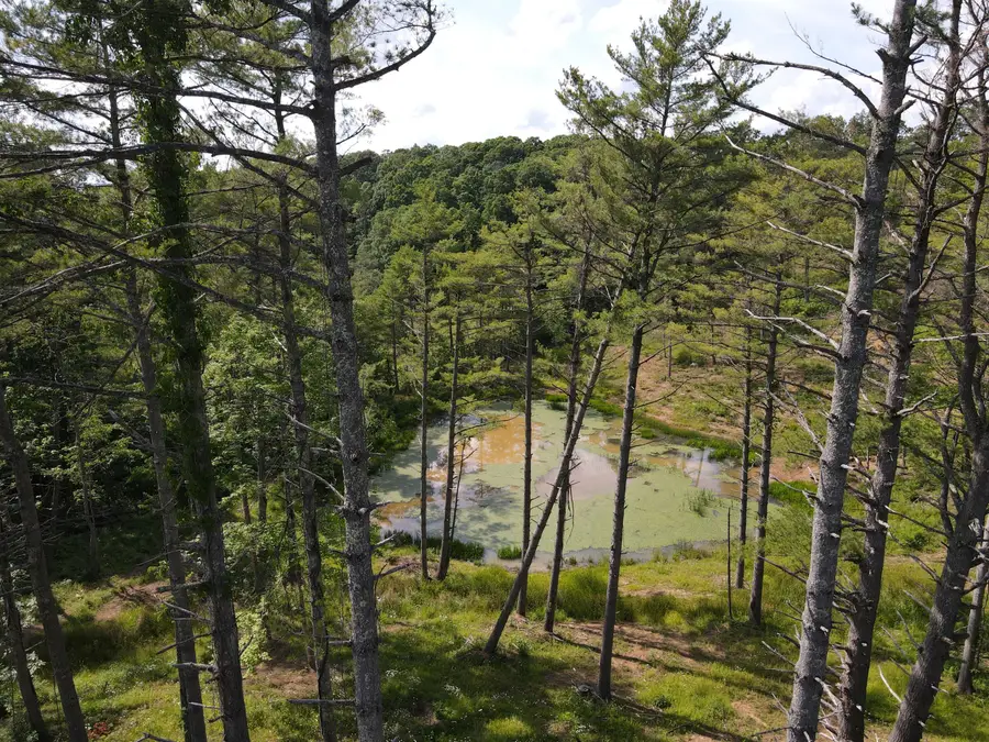 Rt 20/ Gravely Pt., Pipestem, WV 25979 - #2
