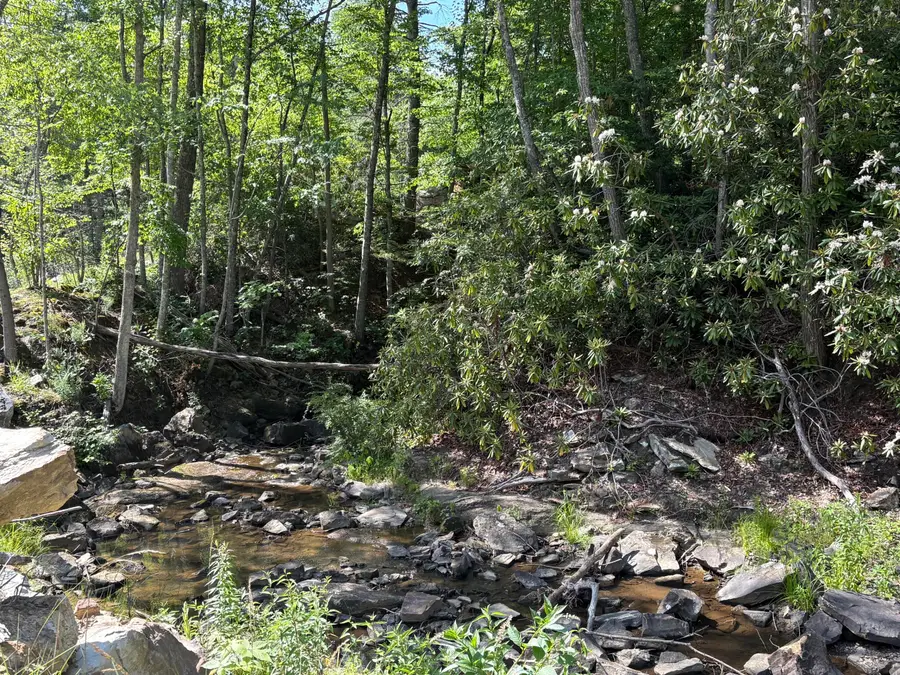 151 Acres Rt 20 Pipestem Falls, Pipestem, WV 25979 - #2