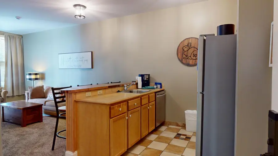 105 The Seneca, Snowshoe, WV 26209 - #2