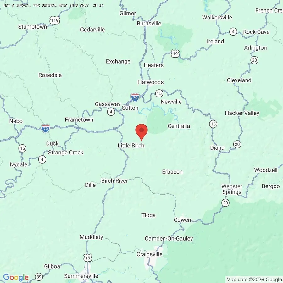 9300 Bug Ridge Rd, Southern, WV 26629 - #2