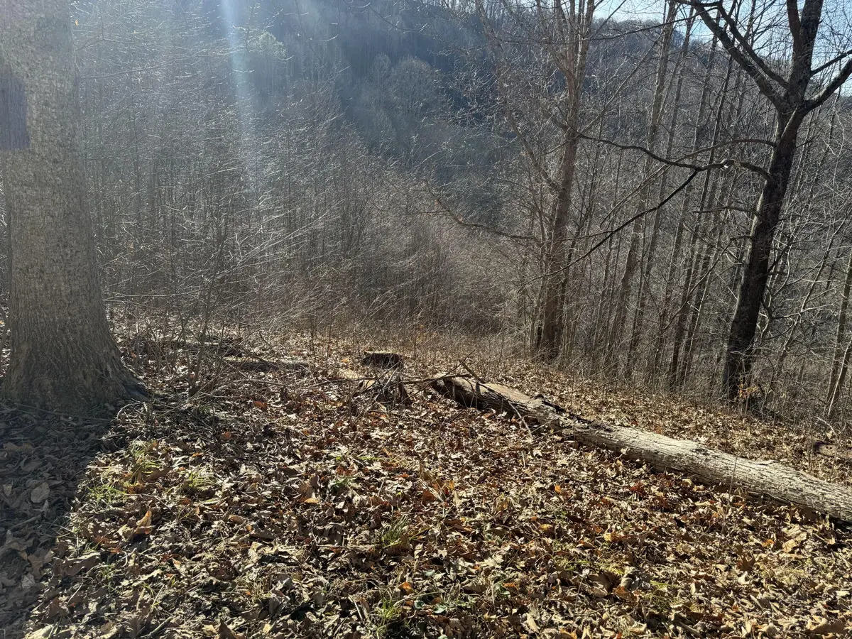 222 Knight Ln, Sutton, WV 26601 - #1