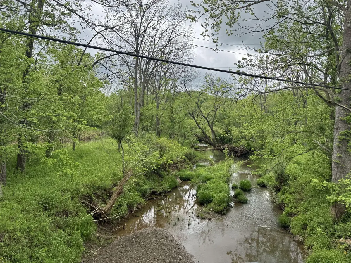 8669 Waterloo Smith Church Rd, Leon, WV 25123 - #1