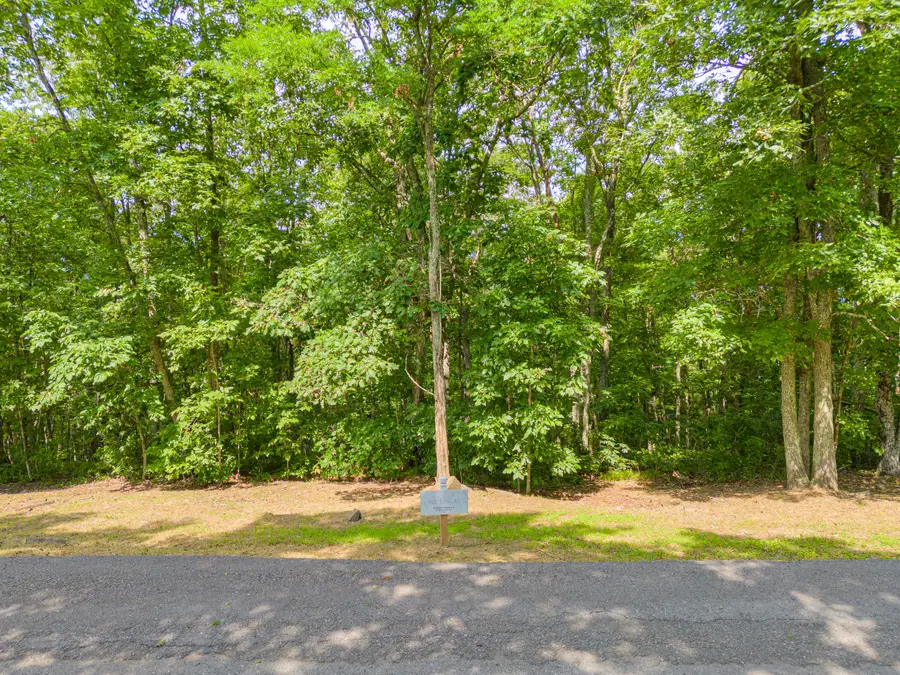 Lot 96 White Rock Trl, Caldwell, WV 24925 - #2
