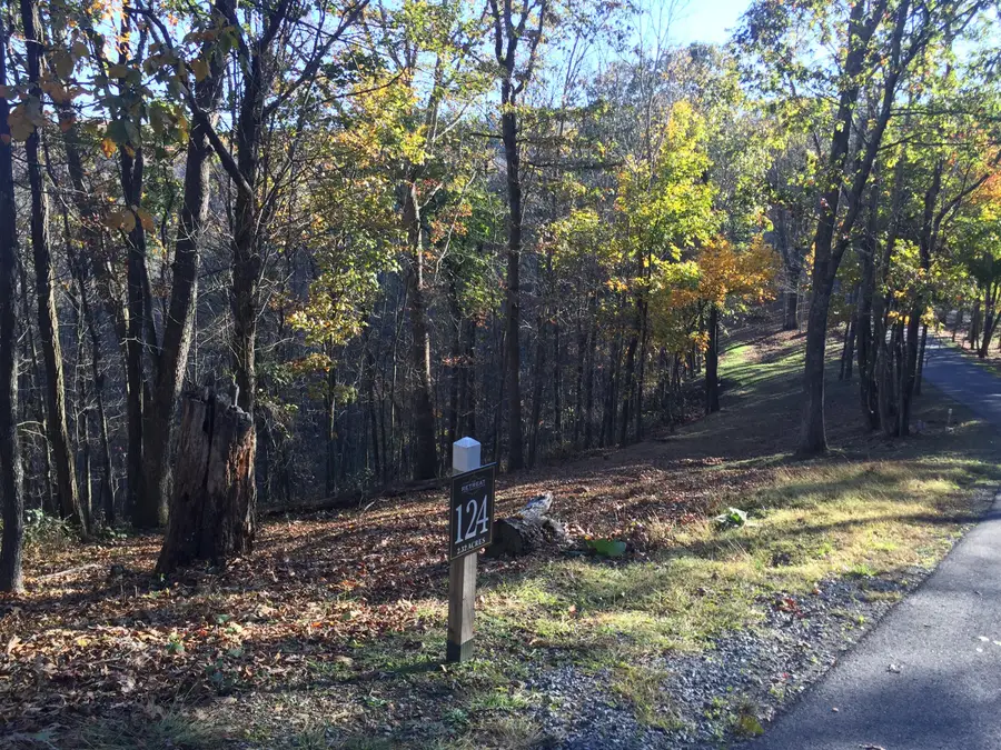 Lot 124 Withrow Landing, Caldwell, WV 24925 - Image #3