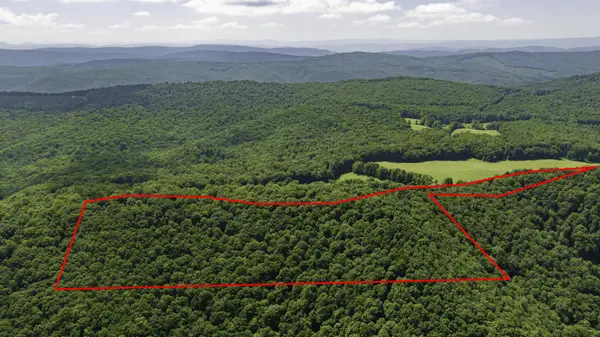 Kates Mountain Rd, Caldwell, WV 24925