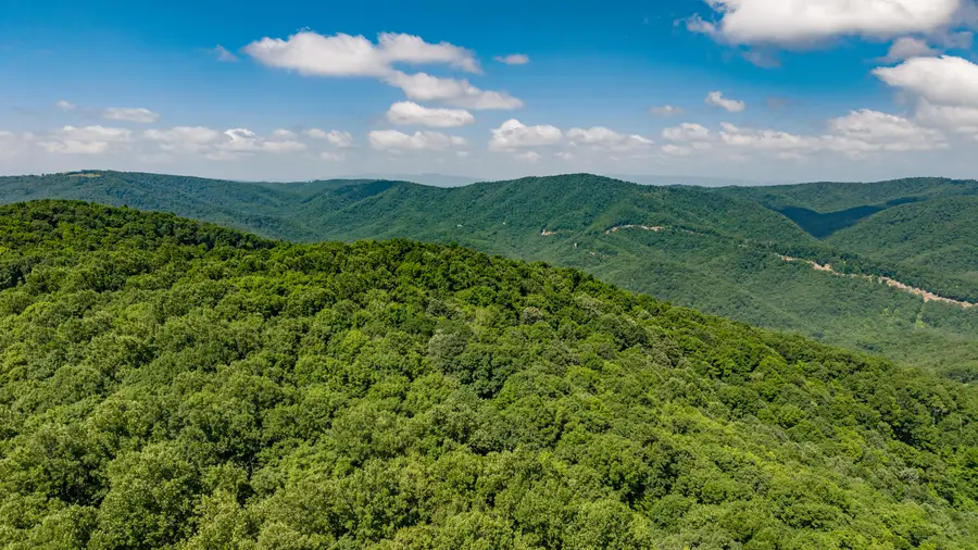 Kates Mountain Rd, Caldwell, WV 24925 - #2