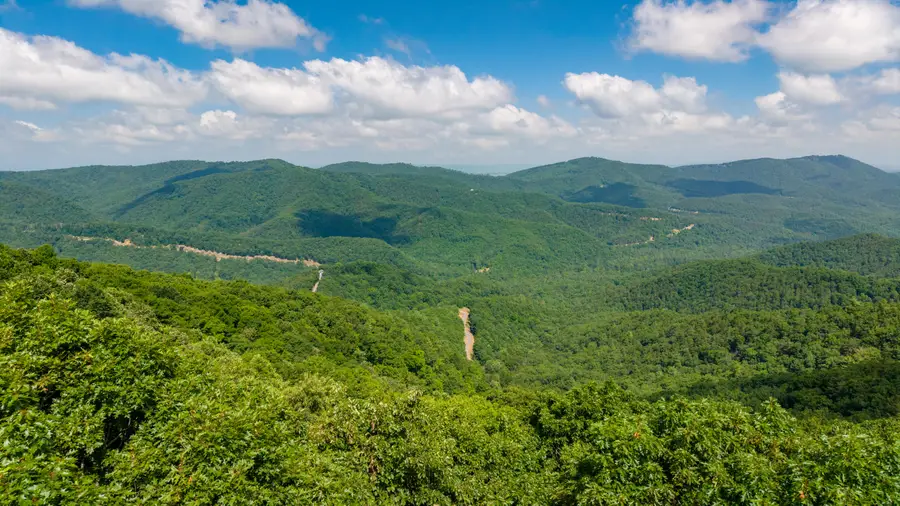 Kates Mountain Rd, Caldwell, WV 24925 - #3