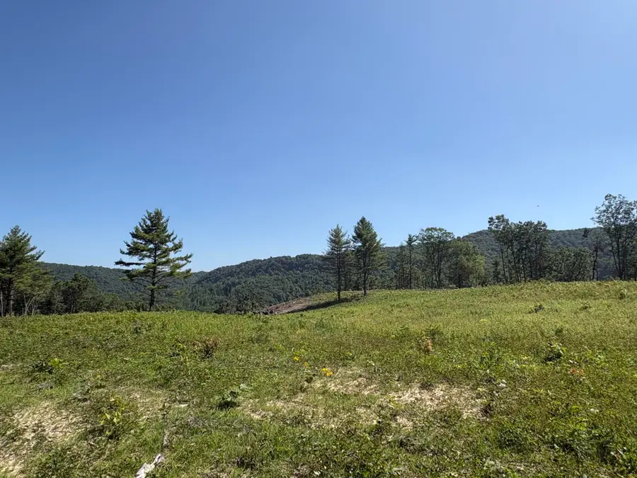 Suck Creek Road, Jumping Branch, WV 25969 - #2