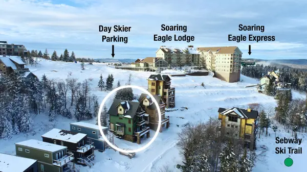 203 Meadows Dr, Snowshoe, WV 26291