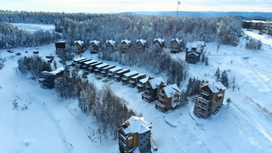 203 Meadows Dr, Snowshoe, WV 26291 - Image #3