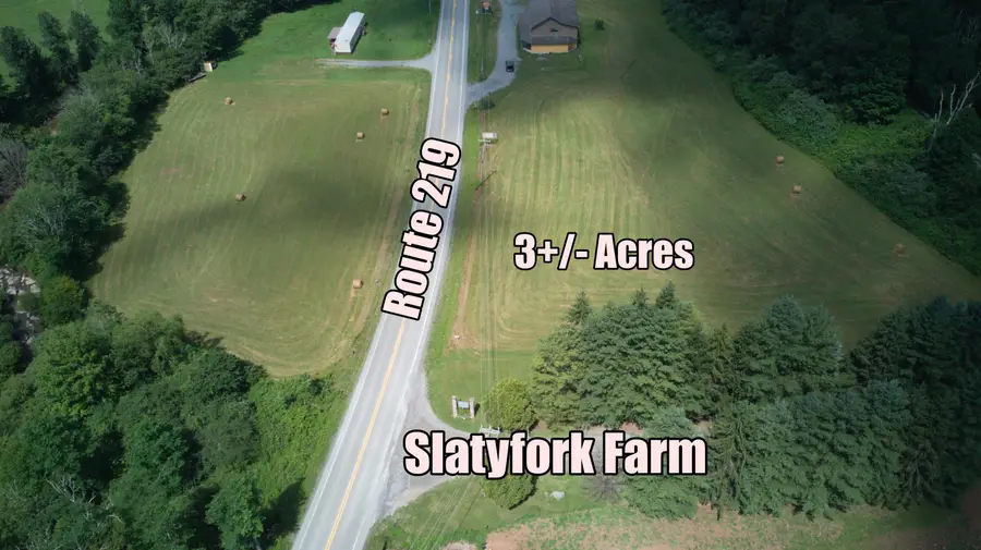 37787 Seneca Trl, Slatyfork, WV 26291 - #3