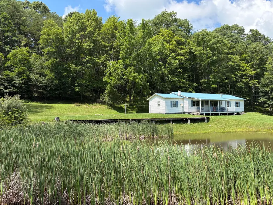1295; 1227 Fenwick Rd, Richwood, WV 26261 - #2