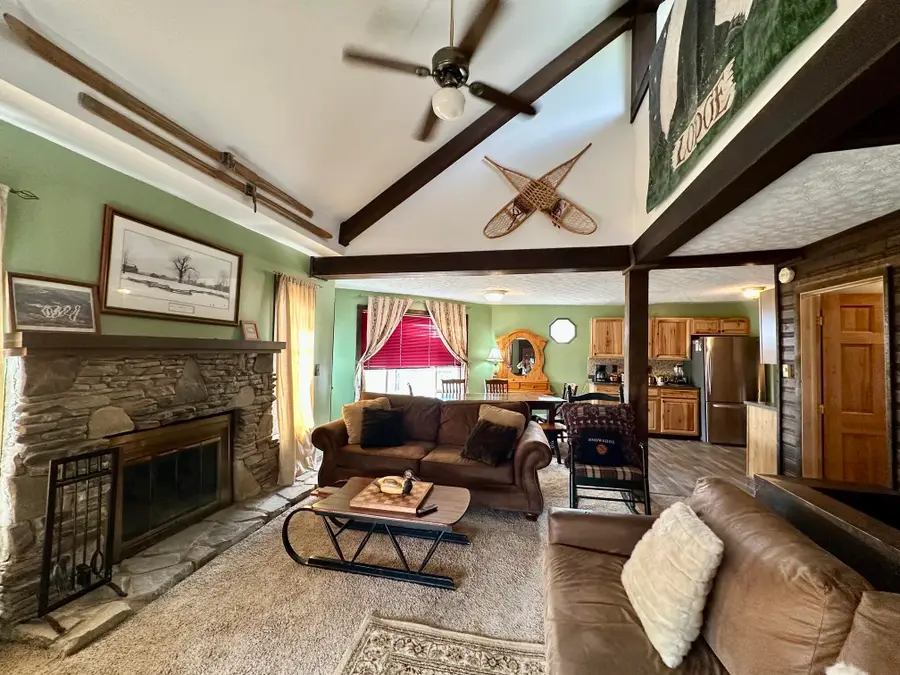 82 Sundowner Dr, Snowshoe, WV 26209 - #3