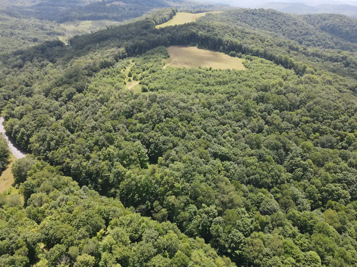 Address Withheld By Seller, Richwood, WV 26261 - #1