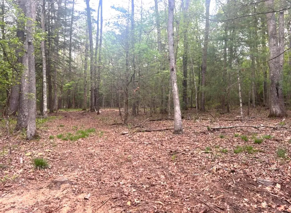 Lot 3 Asbury Trace, Lewisburg, WV 24901 - Image #1