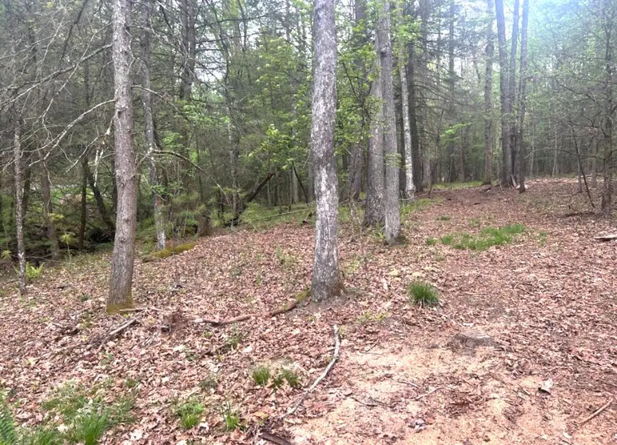 Lot 3 Asbury Trace, Lewisburg, WV 24901 - Image #3