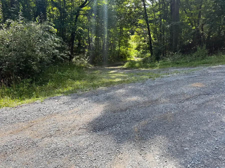Stonehouse Woods, Lewisburg, WV 24901 - #3