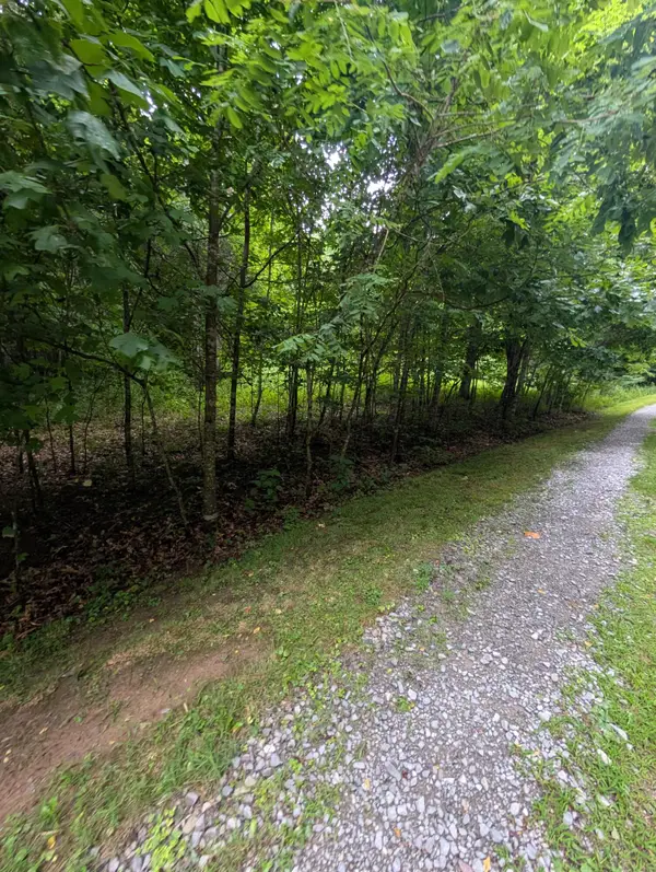 Tbd Explorer Ln, Hillsboro, WV 24946