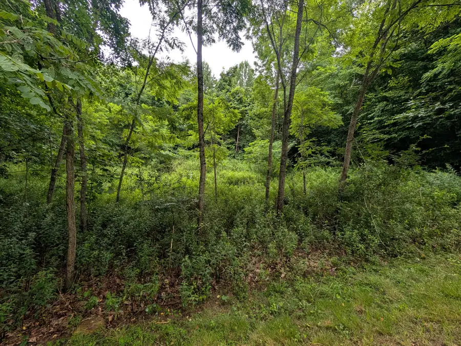 Tbd Explorer Ln, Hillsboro, WV 24946 - #2