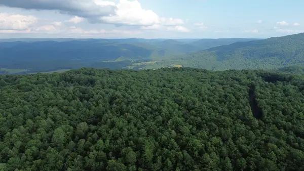 300 Droop Mountain Rd., Hillsboro, WV 24946